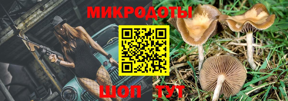 Галлюциногенные грибы мицелий Можайск
