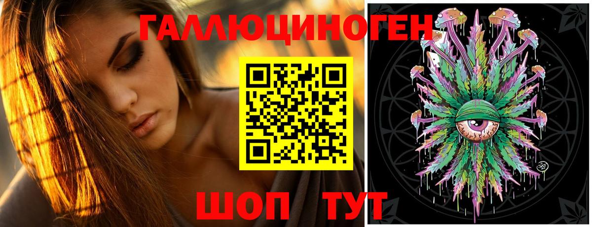 Можайск  Псилоцибиновые грибы Cubensis  Вход с VPN 